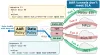 AAR alongside Data Policy